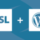 Illustration for article titled Are You Running WordPress Website without SSL? You Need SSL Certificate Right Now.